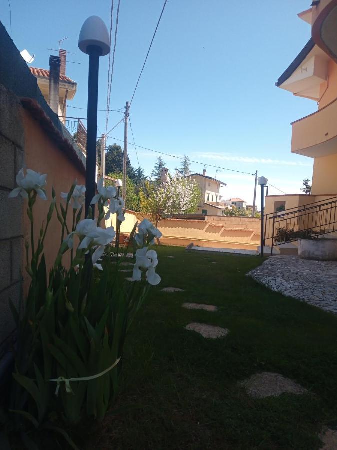 Double Room Balcony